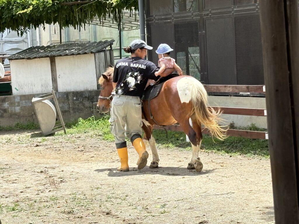 ポニーに9か月の我が子が乗馬した際の写真